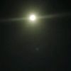 _abn.nager_1.7