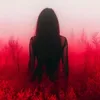 ni_na866