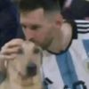 cristinrondo42