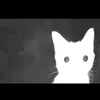 john_slvdr