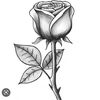 roseaple77