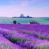 naturescenery3193
