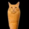 michamfwno4