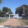 feliz4688