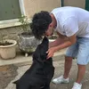 enzo_mc23
