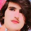 kareemkhan7813