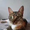 cristianmonzalvo5
