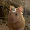 arandomguyy3