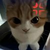 i_like_to_sleep247