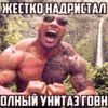 user8795378155186