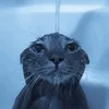 totolandia_0