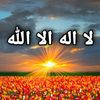 hassaneh0666