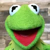 kerm1t_the_frog_