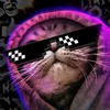 benieditox