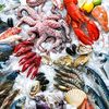 fish_service_zp