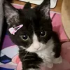 no_aladin.just_jasmine