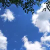 yasmina_72828