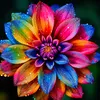 love291059