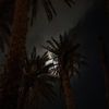 a7hhhhhhh