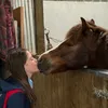 ponylover121