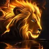 lion123346