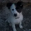 mollymcd0