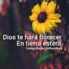 ruthcuica