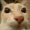tien_huyy12