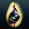 palta.audiovisual
