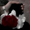 taz_er_ammu