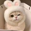 saw.gemi