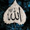 allahi.seven3