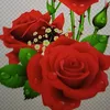 hoa.hong7391