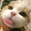 jayjaywouldalwaysbecute