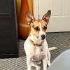 skyjules6