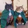 knightsofthewokerepublic