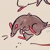 ratssking