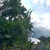 _finoyy_2310