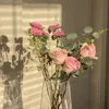 dnyae_jwani
