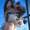 palacewolf