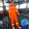 komeng_b_y