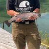 fish.guy.germany
