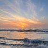 savannah_561_