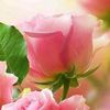user8110654480742