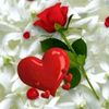shafeeka61