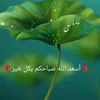 user2214719132743