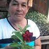 dudu.rosa.do.deserto