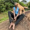 Noah dog rescues