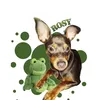 rosy.pinscher19