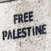 plo_.44